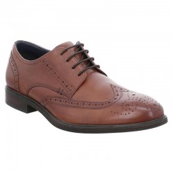 Classic brown men's shoes in big sizes Josef Seibel 42205