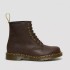 Men's autumn boots Dr. Martens 11822203