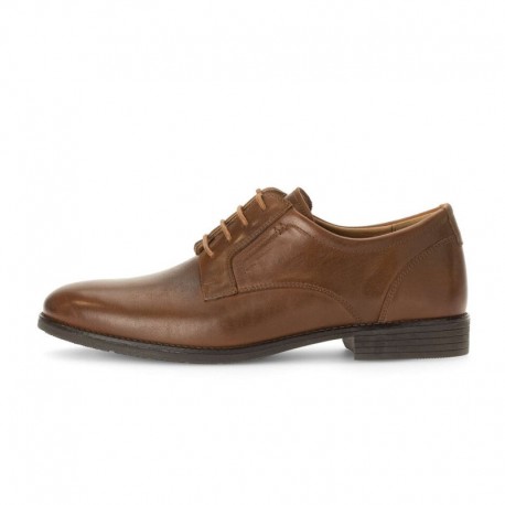 Classic brown men's shoes in big sizes Pius Gabor 1059.10.03